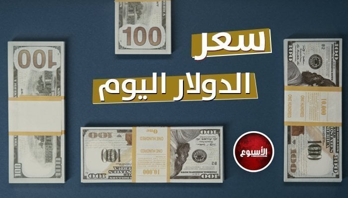 وصل كام النهاردة؟.. سعر الدولار في مصر اليوم الأربعاء 12-6-2024