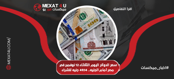 سعر الدولار اليوم  في مصر أمام الجنيه