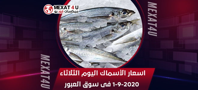 اسعار الأسماك اليوم الثلاثاء 1-9-2020 فى سوق العبور